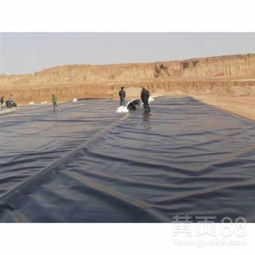 太仆寺旗防滲土工膜、土工布 貨到付款，規(guī)格型號齊全，實時報價解析